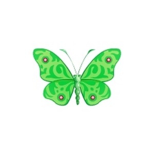 Ornate Green Butterfly